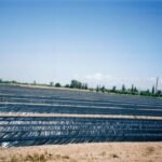 Agrolin μαύρο φιλμ εδαφοκάλυψης 20 mic linear