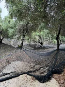 δικτυα