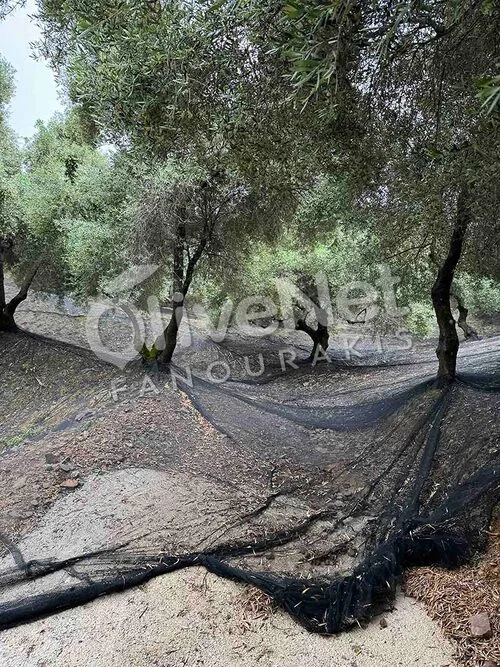 δικτυα